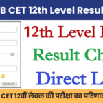 RSMSSB CET 12th Level Result 2025