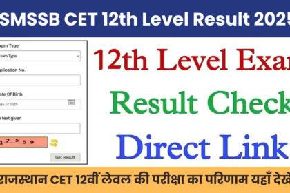 RSMSSB CET 12th Level Result 2025