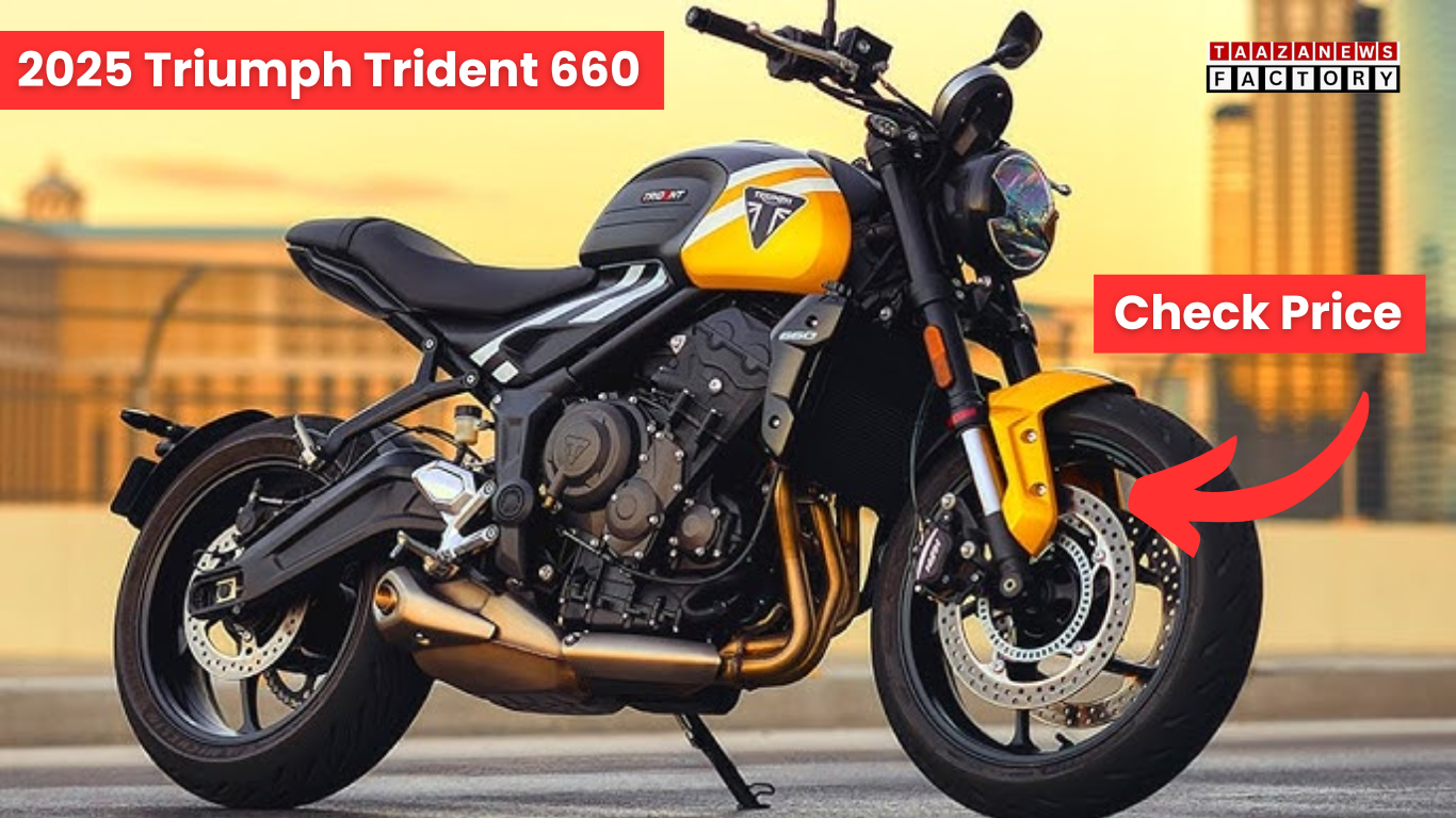 2025 Triumph Trident 660